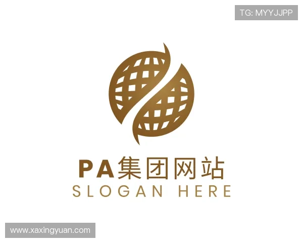 了解PA集团